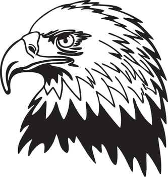An eagle head with a black and white outline vector
