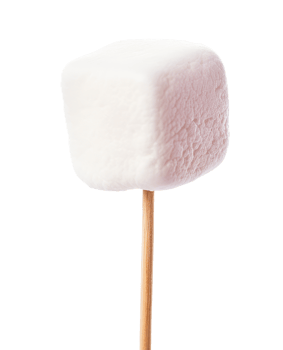Stick with Marshmallow png