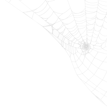 Spider Web Corner Isolated on Transparent Background png