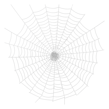 Spider Web Isolated on Transparent Background png
