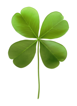 Four Leaf Clover Isolated on Transparent Background png