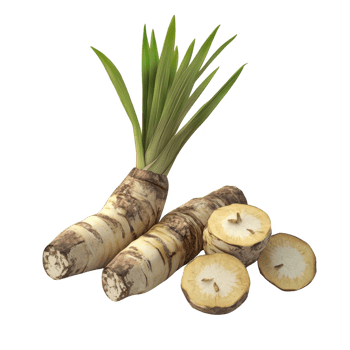 Fresh horseradish root with green leaves and sliced pieces on a white background. png