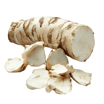 Fresh horseradish root and slices, perfect for culinary use and gourmet dishes. png