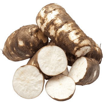 Freshly harvested parsnips, showcasing their earthy texture and vibrant color. png
