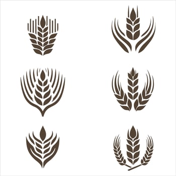 Amber Harvest collection logo design vector