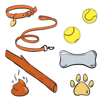 The Essential Dog Accessories and Toys Every Pet Owner Should Consider for their Pets. illustration. Pet shop vector