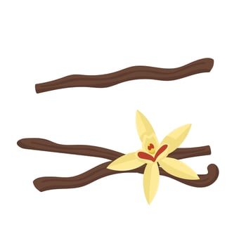 set of vanilla pods and flower. Spice logo on white background. vector