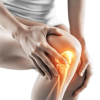 Knee Pain Highlighted for Medical Illustration and Health Awareness on transparent background png
