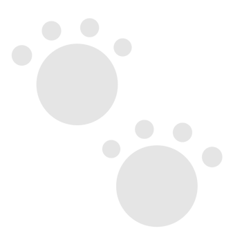 Gray cat footprints on transparent background png