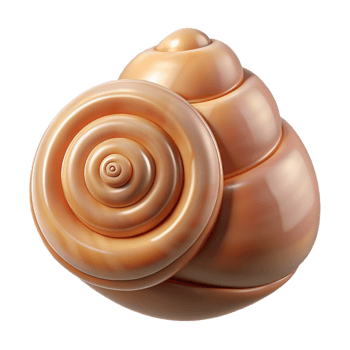 3D Render of Spiral Seashell png