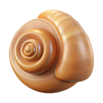 3D Render of Spiral Seashell png