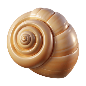 3D Render of Spiral Seashell png