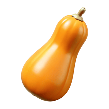 3D Render Butternut Squash png