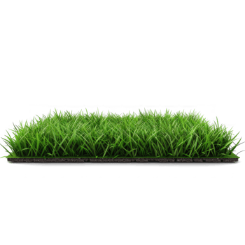 realistic astro turf floor clipart, transparent background png