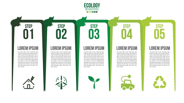 Ecology infographics green friendly environment with leaf and world map design layout vector