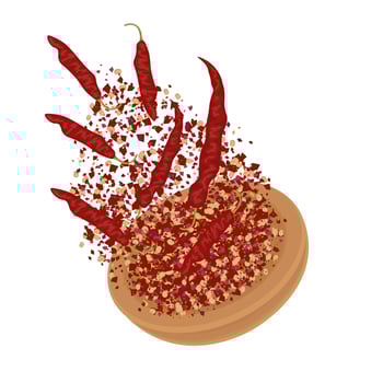 Illustration Logo Clipart levitation Chili flakes vector