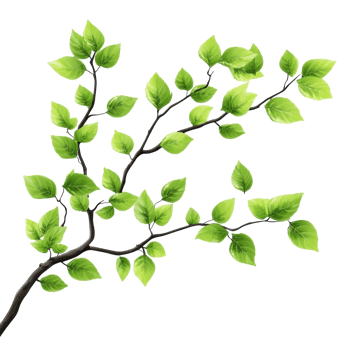 Tree Branch with Green Leaves Ideal for Nature-themed Projects on Transparent Background png
