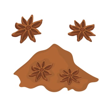 set of whole anise and powder. Spice logo on white background. vector