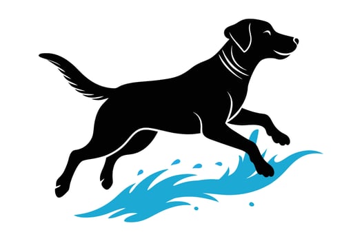 silhouette of a Labrador Retriever jumping through water splashes vector