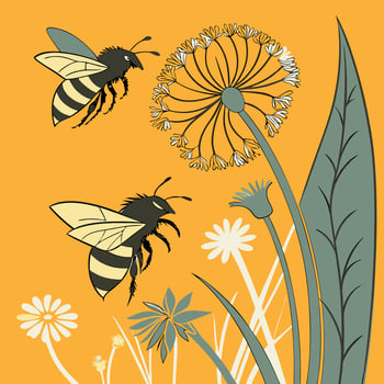boho bee Bee Honey vector