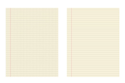 Graph and lined paper template with red margin for school and office use. Geometric pattern for school, wallpaper, textures, notebook. Lined blank vector