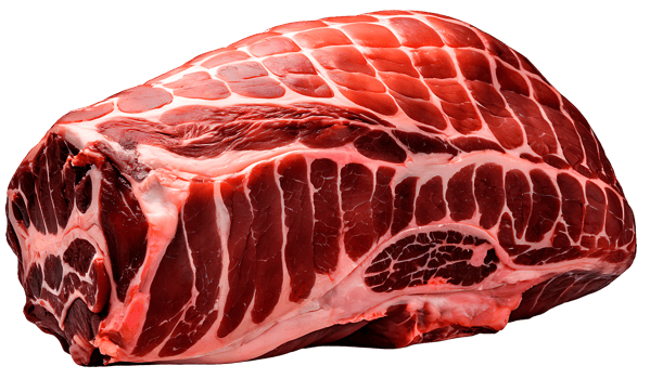 Raw Chicken Leg Illustration for Culinary Art png