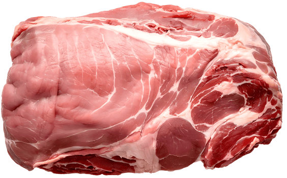 Fresh pork chop icon on organic backdrop icon isolated png