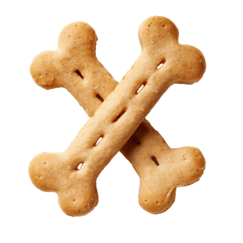 2 dog bone shaped dog treats stack cross on transparent background png