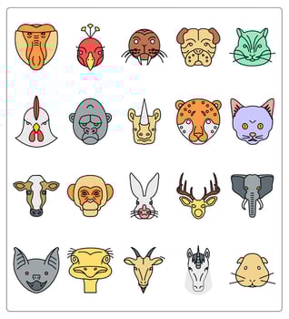 A set of 20 animals icons as proboscis monkey, peacock, sea lion vector