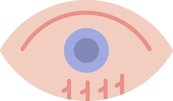 Eye Flat Icon vector