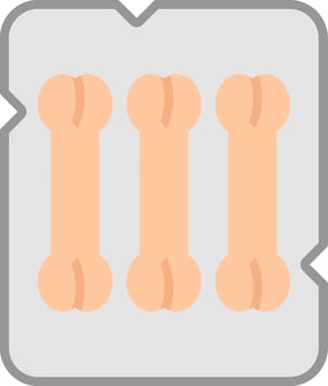 Bones Flat Icon vector