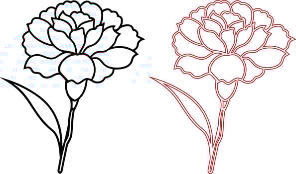 black and red Carnation Flower silhouette vector