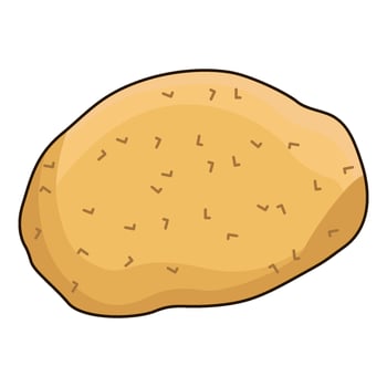 illustration of potato vector