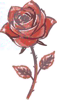Vibrant Red Rose Illustration for Greeting Cards Decor and Design vector