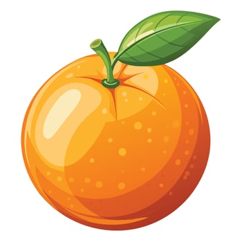 orange fruit illustration vector