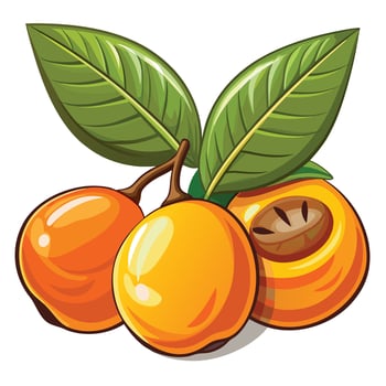 a cartoon illustration of a bunch of oranges vector