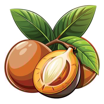 tropical fruit with leaves and half open vector