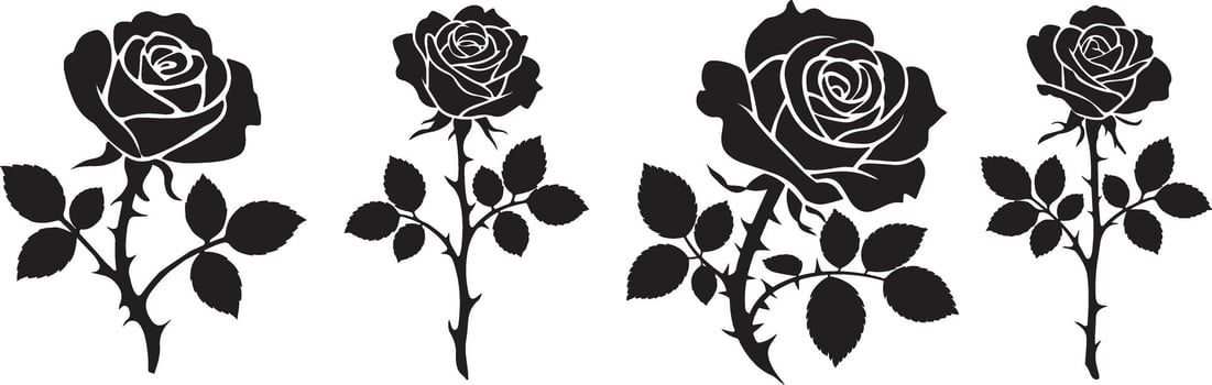 Black Rose Illustrations vector