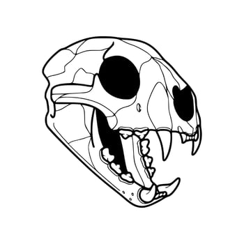 A cartoon animal skull with a big mouth and teeth vector