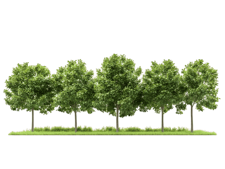 A row of five lush green trees with a grassy base, symbolizing nature and tranquility. png