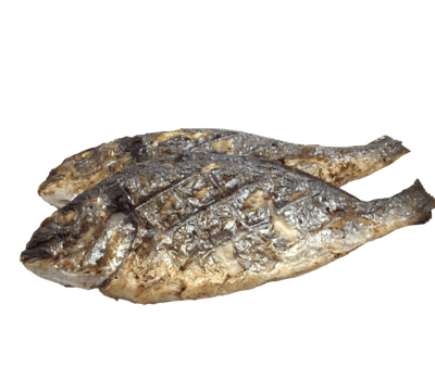 Two fish are shown png