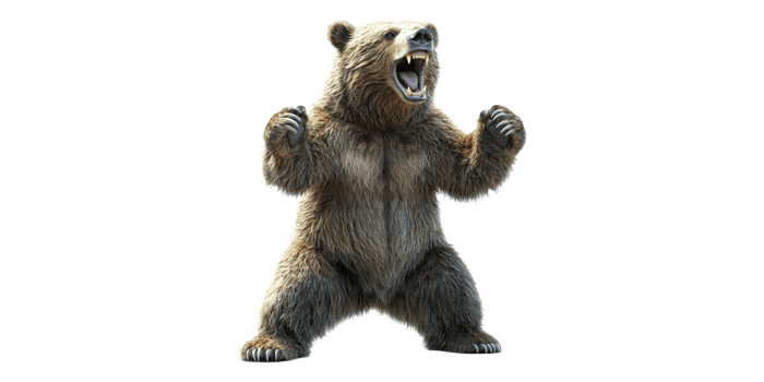Bear Isolated on Transparent Background. png