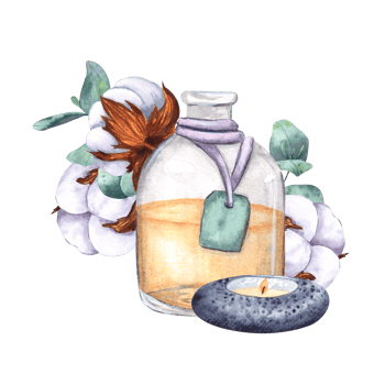 Dried cotton bolls and eucalyptus branches, glass bottle with oil, extract and stone candle. Watercolor composition isolated on background. For design, logos, decor, menu, printing png