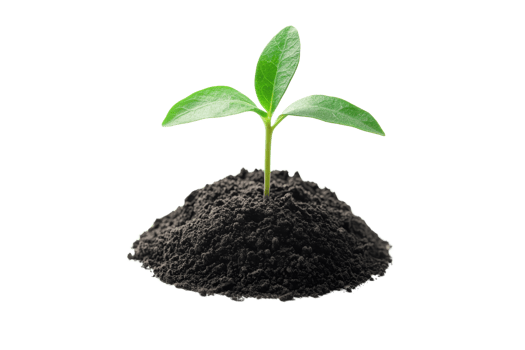 A young green plant emerges from a mound of dark soil, symbolizing growth and renewal. png