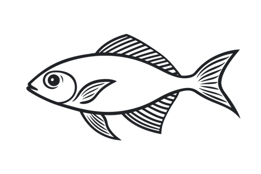 A stylized fish illustration with a streamlined body, distinct fins, and an expressive eye. png