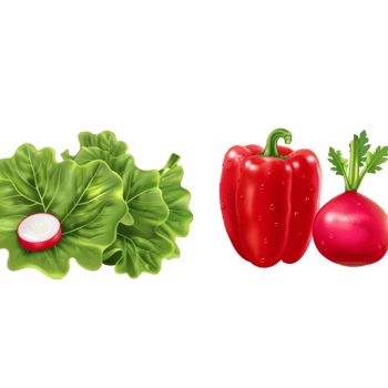 Vibrant Display of Fresh Vegetables png