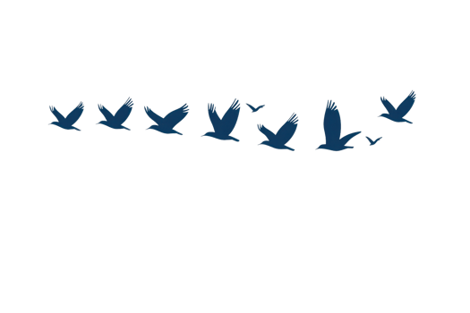 A series of blue birds in flight, illustrating a graceful movement through the air. png