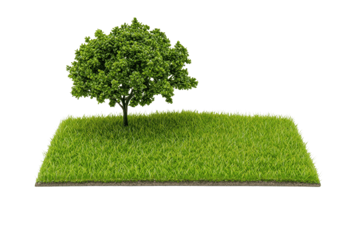 A lush green tree stands prominently on a patch of vibrant grass, showcasing its healthy foliage and natural beauty. png