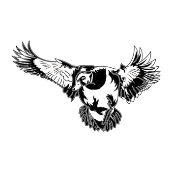 mallard duck flying and about to land hunting logo illustration vector