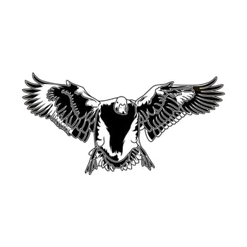 pintail duck landing after flying seen from the front hunting logo illustration vector
